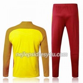 FC Barcelona Tréninkový Mikina Soupravy 2017-18 Žlutá Oranžová